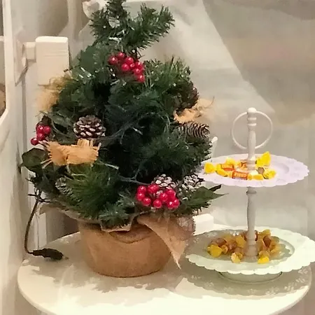 Vatican 住宿加早餐酒店